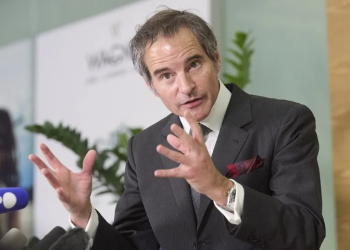 No immediate danger at Zaporizhzhya nuclear power plant: IAEA