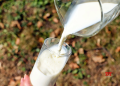 India: From a milk deficit country to world’s largest producer