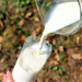 India: From a milk deficit country to world’s largest producer