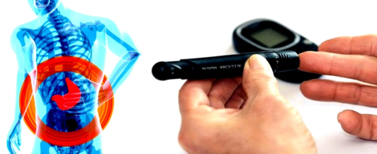 IIT researchers spot biochemical link between fatty liver disease, diabetes