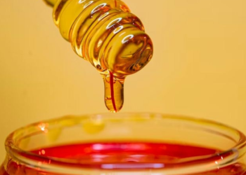 Manuka honey may help cure drug-resistant lung infection