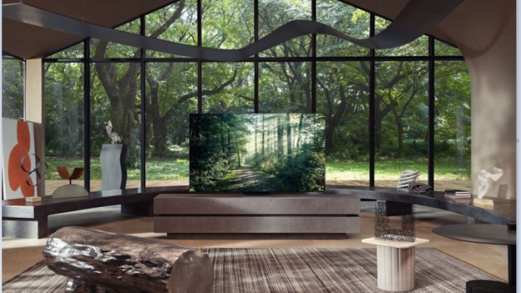 Samsung will overcome slowing sales with lifestyle TVs: Top executive