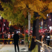 120 killed, 100 injured in stampede at Halloween parties in Seoul