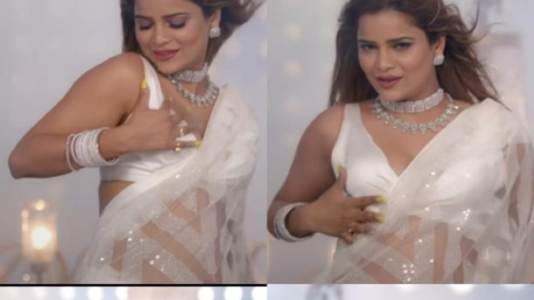 ‘Bigg Boss 16’: Archana Gautam says her dream is to marry a politician