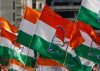 Delhi Cong accuses BJP of manipulating delimitation of wards