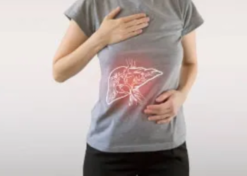 Livers have potential to function for more than 100 years: Study