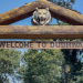 Dudhwa Reserve opens for tourists from today
