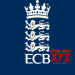 ECB names Luke Wright as new selector for England men’s teams