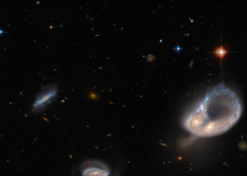 Hubble captures unusual galaxy merger in ancient universe