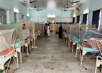 Lucknow reports 47 dengue cases in a day