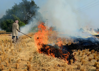NHRC holds states responsible for continued stubble burning