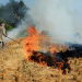 NHRC holds states responsible for continued stubble burning