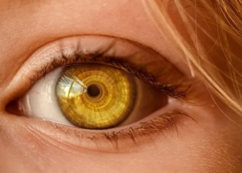 Probe ordered after 6 lose eyesight in cataract operation in Kanpur