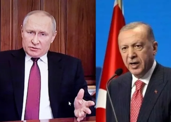 Putin, Erdogan discuss gas hub, grain export deal