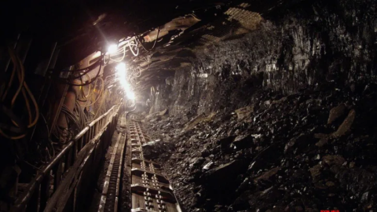 Thermal plants have adequate coal stocks, says Govt
