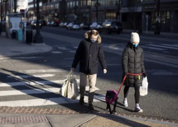 US in flu season earlier, more severe: CDC