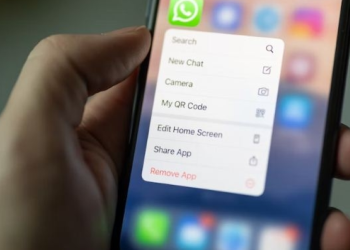 WhatsApp’s new feature to flag calls missed due to DND