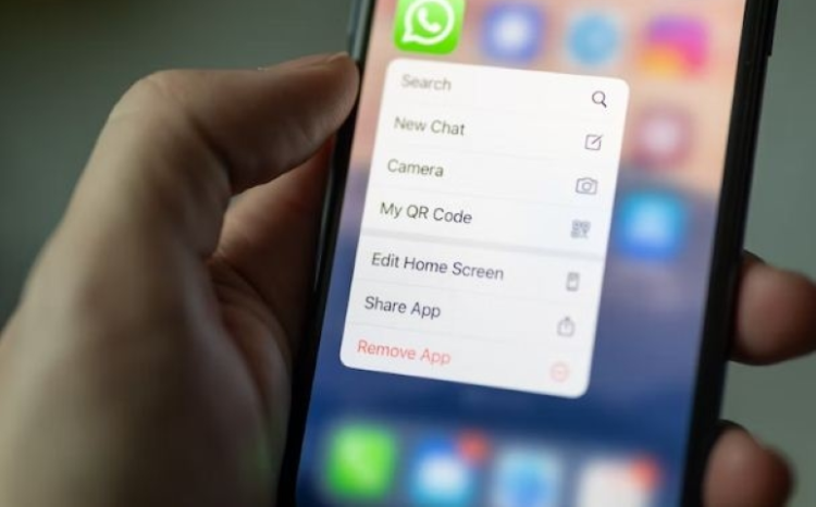 WhatsApp’s new feature to flag calls missed due to DND