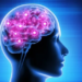 Fat visible under skin emerges as protector of females’ brains: Study