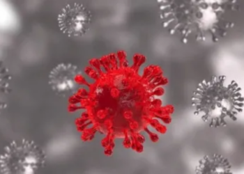 What is Covid variant XBB that accounts for more than 18% of US cases?