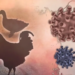 Cambodian girl dies of H5N1 bird flu