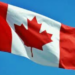 Canada leverages financial intelligence to stop illegal wildlife trade