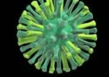 Cuba confirms first bird flu cases