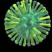 Cuba confirms first bird flu cases
