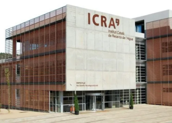 Growth for Indian IT services industry likely to slow down: ICRA