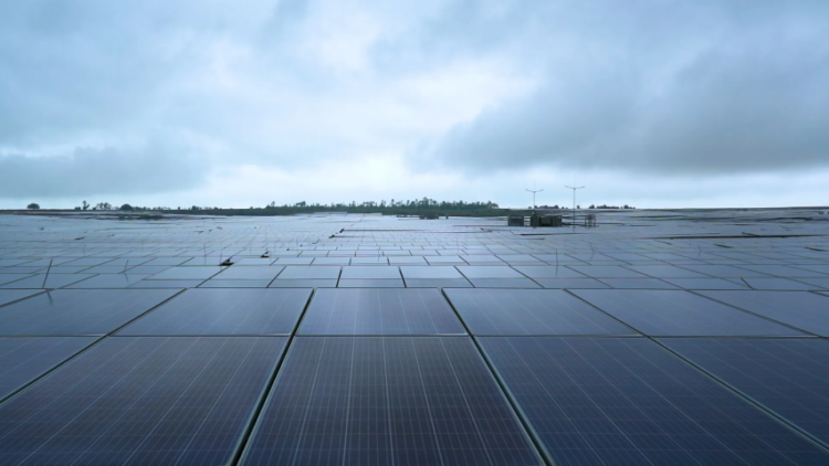 India’s economy already 10% more energy efficient than G20 average: IEA