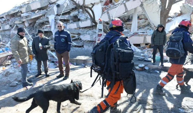 Massive earthquakes kill over 30,000 in Turkey, Syria as incredible rescues still bring hope