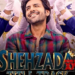 Shehzada Title Track Is Out