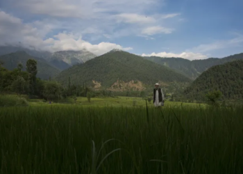 Srinagar ranked first among 156 districts under Swachh Sarvekshan Grameen