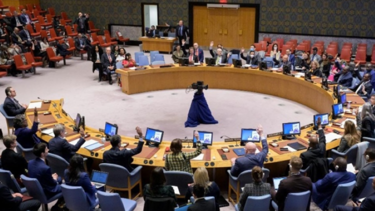 UN Security Council condemns attack on UN peacekeepers in Mali