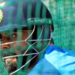 IND v AUS: Virat Kohli faces spin majorly as others finetune their basics in practice session