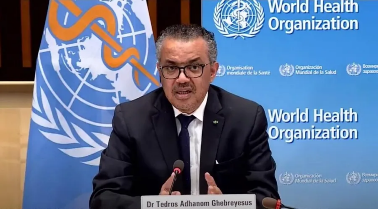 WHO chief visits quake-hit northern Syria with aid