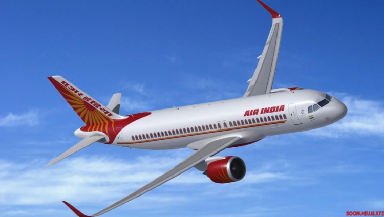 Air India CEO calls for concerted efforts to curb rising cases of unruly passenger behaviour