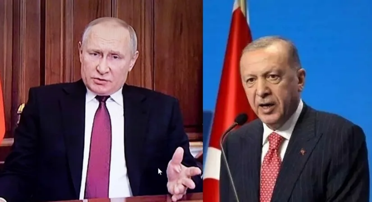 Erdogan, Putin discuss grain initiative renewal over phone