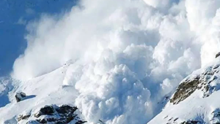 4 killed in avalanche in French Alps