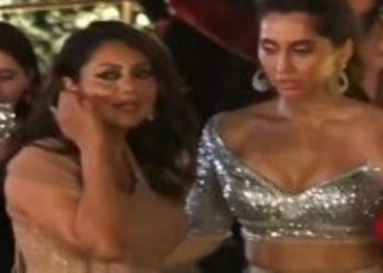 Anusha Dandekar replies to trolls after she failed to incite response from Gauri Khan