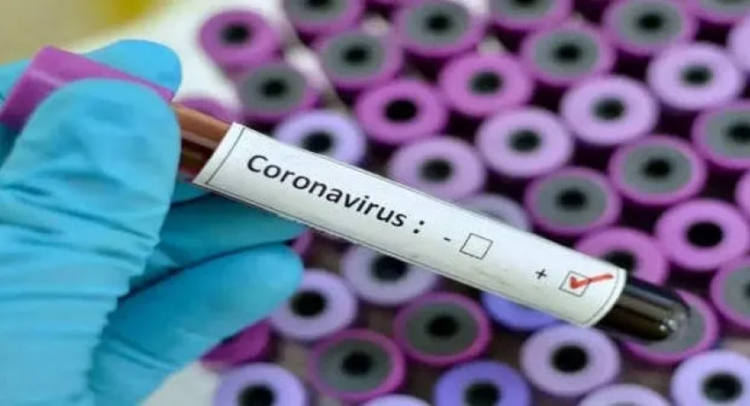 Covid patients’ blood plasma may predict severity, death: Study