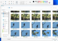 Microsoft introduces ‘Gallery’ to File Explorer in Windows