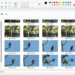Microsoft introduces ‘Gallery’ to File Explorer in Windows
