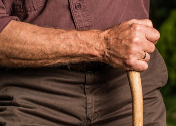 Panel under Finance Secretary set up to review National Pension Scheme