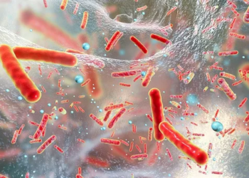 AI helps identify new antibiotic than can take one of three top ‘superbugs’