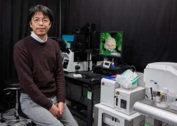 Japanese researchers likely to develop babies in lab by 2028: Study