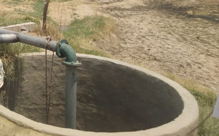 Use lesser groundwater in farming in Bengal to prevent arsenic exposure: Study