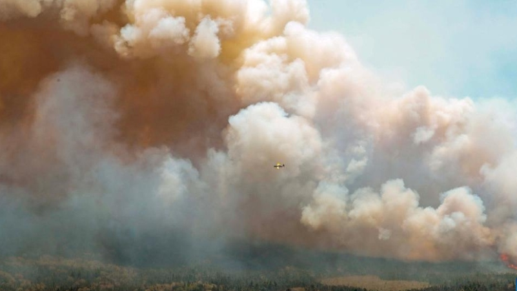 Canada wildfires: Millions advised to wear mask as smoke streams over US
