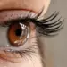 Changes in eye may soon help detect Alzheimer’s: Study