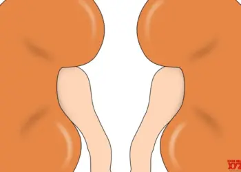 New FDA approved antiviral shows promise for kidney transplant patients